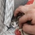 Yeni doğmuş kedi fotoğraf