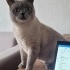BLUEPOINT TAMAMEN ÜCRETSİZ fotoğraf