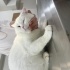 Çok acilll evden atılmış!!!! fotoğraf