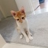 Paşaya yuva arıyoruzz fotoğraf