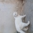 YUVA ARIYORUZ (SCOTTİSH FOLD) fotoğraf