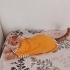 Ücretsiz sahiplenme pofidik sarman kedi acil yuva lütfen okuyun fotoğraf