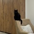 BODRUM SAHİPLENDİRME fotoğraf