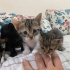 Yeni doğmuş bebekler 😻 fotoğraf