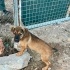 2 aylık tek başına bir kız, yol kenarında beni bırakma diye elinize sarılıyor🥺 fotoğraf