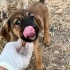 2 aylık tek başına bir kız, yol kenarında beni bırakma diye elinize sarılıyor🥺 fotoğraf