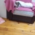 Görme Engelli Kızımıza Çok Acil Yuva Arıyoruz fotoğraf
