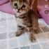 Yuva Arayan Minik Bir Kalp: Ona Senin Sevgin Lazım! fotoğraf