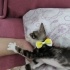 GÖRME ENGELLİ KIZIMIZA YUVA ARIYORUZ. fotoğraf