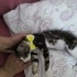GÖRME ENGELLİ KIZIMIZA YUVA ARIYORUZ. fotoğraf