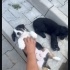 Leoya Ömürlük Yuva🌞 fotoğraf