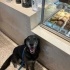 Bu Zeytin! Herkesin Starbucks’tan tanıdığı meşhur köpek! fotoğraf