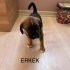 Çok Acil Sakin ve Akıllı erkek
