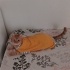 Yuvaya ihtiyacı var, Nominin meleği olur musunuz? fotoğraf