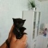 🐾 Minik Patiler Yeni Yuvalarını Arıyor! 🏡 fotoğraf