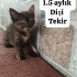 Görme engelli iki kardeş fotoğraf