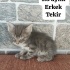Görme engelli iki kardeş fotoğraf