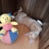 Sosyal bebek kavun fotoğraf