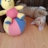Sosyal bebek kavun fotoğraf