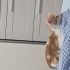 Acil kalabalık evden mutlu yuvaya! fotoğraf