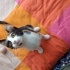 Çok oyuncu insan canlısı Çilek fotoğraf