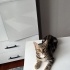 Oyuncu temas sever fotoğraf