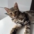 Oyuncu temas sever fotoğraf