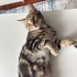 Oyuncu temas sever fotoğraf