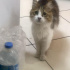 Artık sıcacık bir yuvada size şifa olsun fotoğraf
