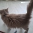 Yaşamınızı Nova ile renklendirmek ister misiniz? fotoğraf