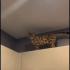Bengal Kısır Erkek Kedi fotoğraf