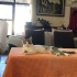 Çok uysal bir kedi fotoğraf