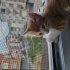 Oyuncu Uykucu Ve Yakışıklı fotoğraf