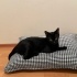 Oyuncu, sevgi dolu fotoğraf