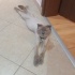 Acil Acil Acil Acil Acil Acil fotoğraf
