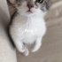 Mırmır kıza yuva fotoğraf