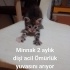 Sevimli,oyuncu,yaramaz