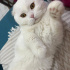 Sekiz aylık çocuğun şansını döndürmeye var mısınız? fotoğraf