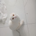 Sekiz aylık çocuğun şansını döndürmeye var mısınız? fotoğraf