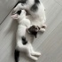 4 KARDEŞE ACİLİNDEN YUVA fotoğraf