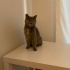cana yakın kızımıza ücretsiz ömürlük yuva fotoğraf