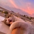 Uzun tüyleri olan çok yakışıklı bir kedi fotoğraf