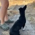 küçük bir çocuk fotoğraf