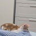 Kalabalık evden mutlu yuvaya fotoğraf