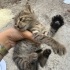 Annesi terk eden bu minik bebeğe yuva arıyoruz! fotoğraf