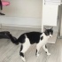 Sevgi dolu bir yuva arıyoruz fotoğraf