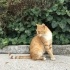Lütfen Kaderi Değişsin fotoğraf