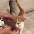 Ev için yaratılmış cici bir kız çocuğu fotoğraf