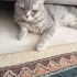 Tatlı çocuğa yuva fotoğraf