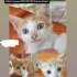 annesiz minikler